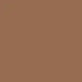 Caramel color swatch displaying NCS S 5020 Y40R, matte painted metal finish, Moroso product line sample with text identification.